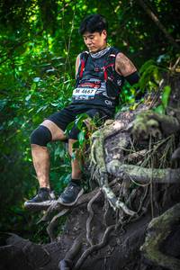 BIB: 4667
                            <button type="button" onclick="openModal(7087852)" class="btn btn-primary btn-sm float-right btn-popup" data-toggle="modal" data-target=".modal-high-quality">
                        <i class="fas fa-shopping-cart"></i> Add to Cart
                    </button>
                                            <button type="button" onclick="isThisMe(7087852, true)" class="btn btn-success btn-sm float-right btn-popup btn-isme hidden" data-toggle="tooltip" data-placement="bottom" title="นี่คือรูปของคุณใช่ไหม คลิกที่นี่เพื่อเอาเข้าอัลบั้ม">
                        <i class="fas fa-plus"></i> Add to album
                    </button>
                    <button type="button" onclick="isThisMe(7087852, false)" class="btn btn-warning btn-sm float-right btn-popup btn-isnotme hidden">
                        <i class="fas fa-ban"></i> Remove from album
                    </button>